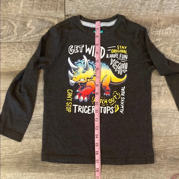 Kids Charcoal Triceratops Graphic Long Sleeve Tee - Picture 3 of 5